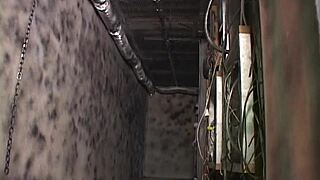 Heroine faces brutal hunger hell in raw subjugation