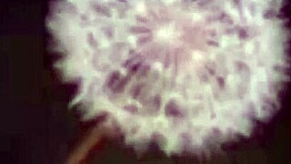 Perfect pink pussy for playing and fucking with toys