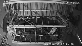 Exploring the raw, unedited feed from the cage cam setup