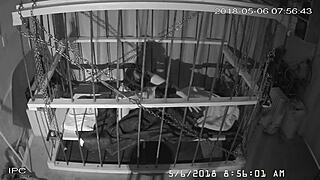 Exploring the raw, unedited feed from the cage cam setup