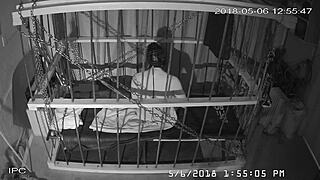 Exploring the raw, unedited feed from the cage cam setup