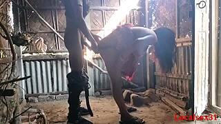 Red Saree Wife Giving Outdoor Blowjob in Official Localsex31 Video