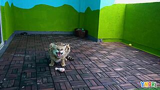 Yngr teen lola leda on porn casting interview