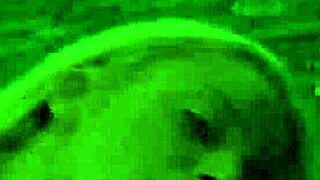 damn, stockinged babe gets assfucked hard before wild dp!