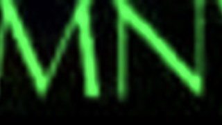 Hentai Cat Gets Lewd in Wild Arrangement