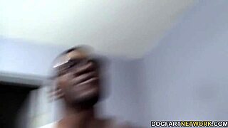 summer carter gets fucked by three black guys with big cocks 😍