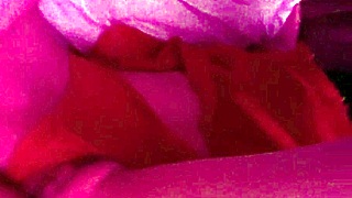 Condom breaks, skinny nympho, keep fucking until sperm fills her vagina?