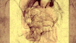 Vintage erotic drawings depict retro hentai anime scenes