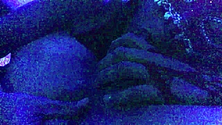 Compilation of Redfantasies Shorts Freebie Featuring Various Scenes