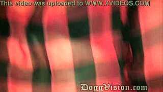 standing sex with slutty milfs and gilfs craving big black cocks