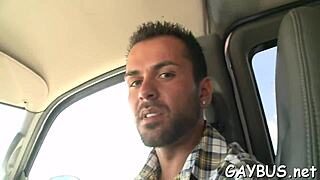 twinks engage in gay activities