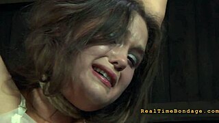 Wretchen Fur Pie Delighted