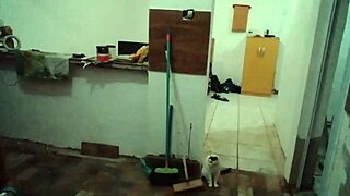 i'm showing my big tits in the kitchen, stella still full on red