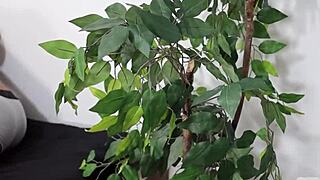 big cock orgy where the passive becomes active with monster cocks