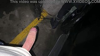 Public restroom and parking garage action with anal and oral sex