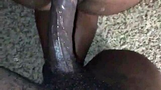 horny wife enjoys intimate encounter