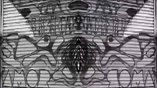 Did I fuck my friend Lis XXX on the playground?