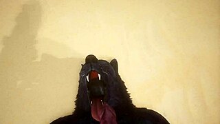 Pov Intense Fucking of Two Gay Wolves in Wildlife