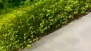 chinese queen mina seduces guy for outdoor park bench BLOWJOB and raw standing bang in bushes with internal finish.