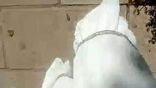Femboy gets rough and tumble sex in public park and gets a creampie