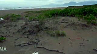 Loirinha Safada Faz Sexo Em Público Na Praia