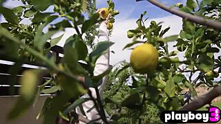 Sexy Big Ass Brunette Teen Hayli Sanders Posing Naked!