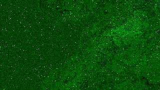 i peed in my jeans and got a golden shower on my face and mouth?