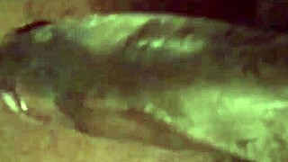 Old amateur wife deepthroats and gags on black cock