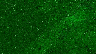 i peed in my jeans and got a golden shower on my face and mouth?