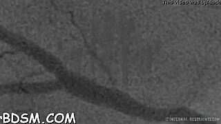 Sensual Brunette Fingers Fanny With Toys