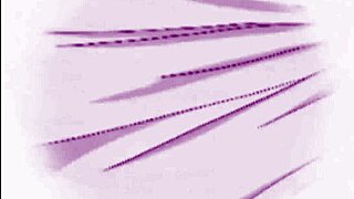 Sexy Anime Maid Getting Pussy Fucked! Doggy Style!