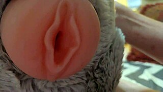 Fucking a teddy bear with bold intensity and raw action