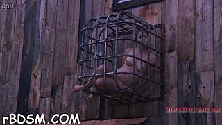 Sadomasochism Videos With Femdom Couple Orgasm!