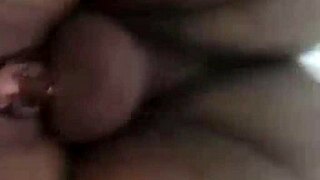 haven deveraux cums hard with creampie in latina pussy