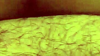 Fat Teen Bbw Doggy Fuck