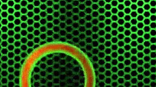 Sluts Sophie Dee and Trina Michaels Take 2 Dicks, Damn!