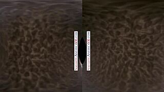 naughty america chicks same time vr with kenna and veronica