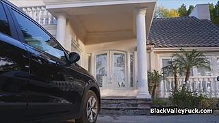 Big Tit Black Babe DRILLED HARD by White Stud in Wild Session