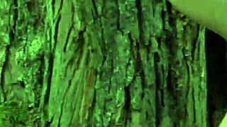 The princess feels intense pleasure from the two knights' double anal on the desk