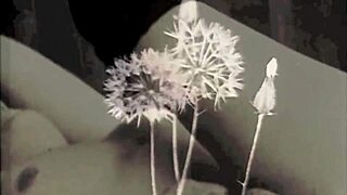 hey, check this retro beauty and the beast from dark lantern entertainment!