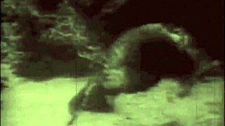 hey, check this retro beauty and the beast from dark lantern entertainment!