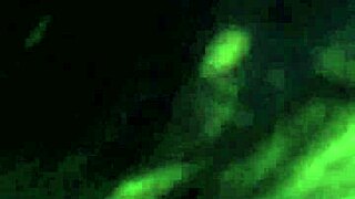 Indian Nri Girl Sucks Cock Like Lollipop And Gets Fucked Hard By Gay Man