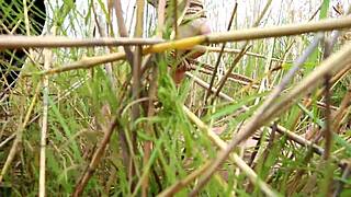 two girls get bound and tied up in this hentai bondage scene