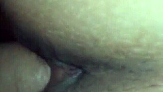 Primer Video Introduction