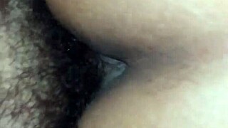 Primer Video Introduction