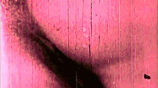 Vintage erotic drawings showcase classic sensual art style