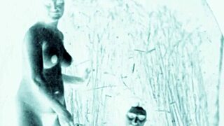 vintage erotic art captures timeless sensual charm in retro style