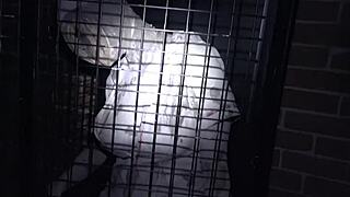 horrorporn nurses from hell dive into kinky hospital orgy with wild banging