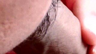 Beautiful oral sex in a gay video with a bearded man and others