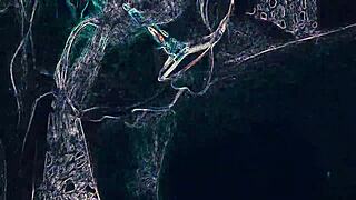 Tell me, how big does a cock get when it's hard?